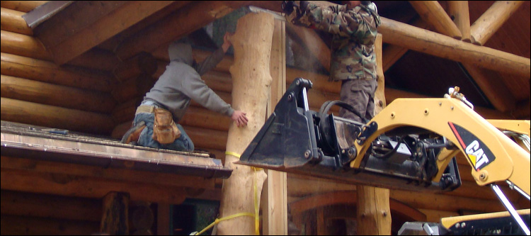 Log Home Log Replacement  Amherst County, Virginia