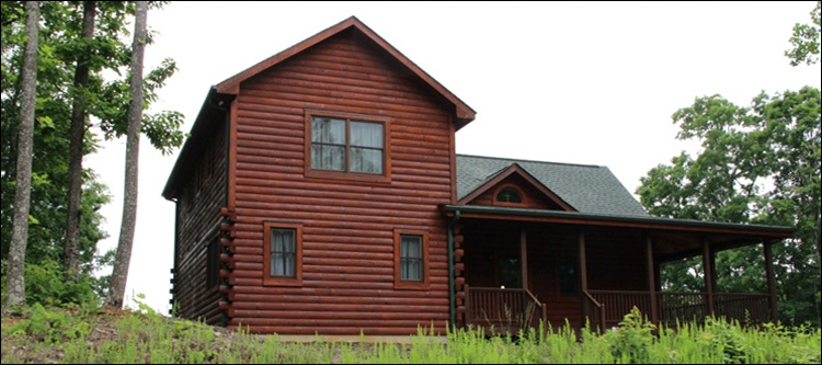 Professional Log Home Borate Application  Amherst County, Virginia